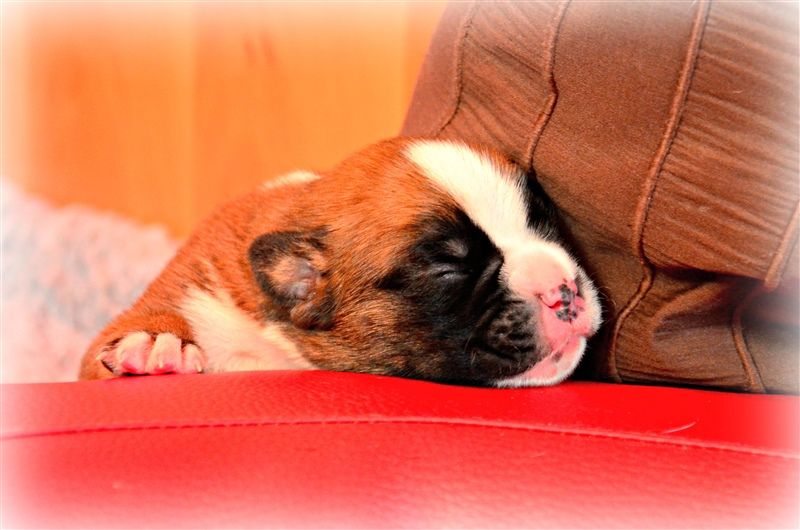 Flash, 9 days